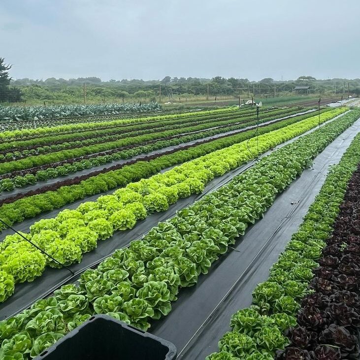 aidan feeney (@fogtownfarm) • instagram photos and videos aidan feeney (@fogtownfarm) • instagram photos and videos